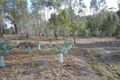Property photo of 603 Huntingdon Tier Road Bagdad TAS 7030