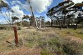 Property photo of 11 Ivy Street East Broomehill Village WA 6318