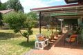 Property photo of 308 Fitzroy Street Dubbo NSW 2830