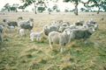 Property photo of 295 Gould Road Currency Creek SA 5214