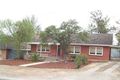 Property photo of 11 Lumsden Avenue Ridgehaven SA 5097
