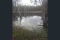 Property photo of 179 Steeds Road Winfield QLD 4670