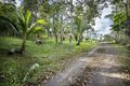 Property photo of 13320 Bruce Highway Myrtlevale QLD 4800