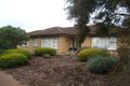 Property photo of 13 Kenwyn Drive Campbelltown SA 5074