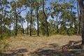 Property photo of 9 Caplick Outlook Ormeau QLD 4208