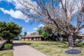 Property photo of 8 Stillard Court Barooga NSW 3644