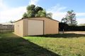 Property photo of 21 Bottletree Avenue Blackwater QLD 4717