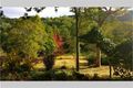 Property photo of 722 Riverside Drive Pine Mountain QLD 4306