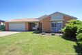 Property photo of 7 Budawang Place Tatton NSW 2650