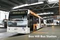Property photo of 1 Begonia Street Box Hill South VIC 3128