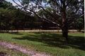 Property photo of 239 Upper Camp Mountain Road Camp Mountain QLD 4520