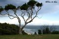 Property photo of 26 Liston Street Nambucca Heads NSW 2448