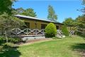 Property photo of 387 Cloonty Road Carrington Falls NSW 2577