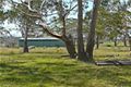 Property photo of 387 Cloonty Road Carrington Falls NSW 2577