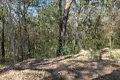 Property photo of 452 Bruxner Road Drake NSW 2469
