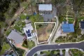 Property photo of 11A Carnation Terrace Kingston TAS 7050