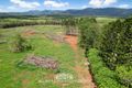 Property photo of 1000 Mossman-Mount Molloy Road Julatten QLD 4871