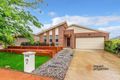 Property photo of 8 Dagmar Berne Street Macgregor ACT 2615