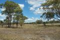 Property photo of 324 Leyburn Forestry Road Leyburn QLD 4365