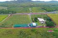 Property photo of 4121 Kennedy Highway Mareeba QLD 4880