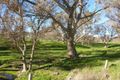 Property photo of 31 Barrett Road Mount Torrens SA 5244