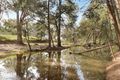 Property photo of 252 Gardiners Road Two Mile Flat NSW 2852