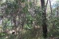Property photo of 5 Cliff Terrace Macleay Island QLD 4184