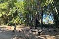 Property photo of 52 Granitevale Road Alice River QLD 4817