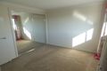 Property photo of 50 Eucalyptus Street Lidcombe NSW 2141