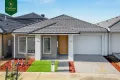 Property photo of 11 Bambusa Way Clyde North VIC 3978