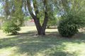 Property photo of 32 Short Street Bourke NSW 2840