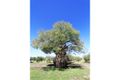 Property photo of 24A Carmody Road Toolleen VIC 3551