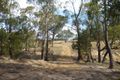 Property photo of 196 Garmoran Valley Road Big Hill NSW 2579