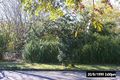 Property photo of 24 Palm Avenue Ascot QLD 4007