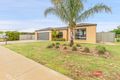 Property photo of 31 Sunset Avenue Echuca VIC 3564