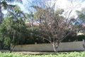 Property photo of 49 Elizabeth Street Artarmon NSW 2064