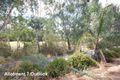 Property photo of 177 George Street Paradise SA 5075
