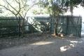 Property photo of 31 Latrobe Street East Brisbane QLD 4169
