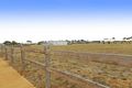 Property photo of 74 River Gum Drive Inverleigh VIC 3321