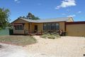 Property photo of 17 Queen Avenue Nuriootpa SA 5355