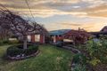 Property photo of 12 Ellwood Court Swan Hill VIC 3585