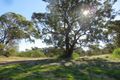 Property photo of 66 Cinnamon Meander Two Rocks WA 6037