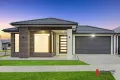Property photo of 31 Burrawang Loop Mickleham VIC 3064