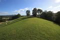 Property photo of 171 Jocelyn Drive Eumundi QLD 4562