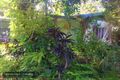Property photo of 188 Trinity Beach Road Trinity Beach QLD 4879