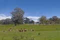 Property photo of 1320 Sugarloaf Creek Road Sugarloaf Creek VIC 3658
