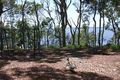 Property photo of 18 Donald Avenue Kanwal NSW 2259