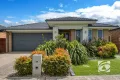 Property photo of 29 Skylark Boulevard Clyde North VIC 3978