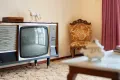 Property photo of 5 Olivieri Place Ryde NSW 2112