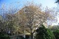 Property photo of 12/14 Eastbourne Road Darling Point NSW 2027